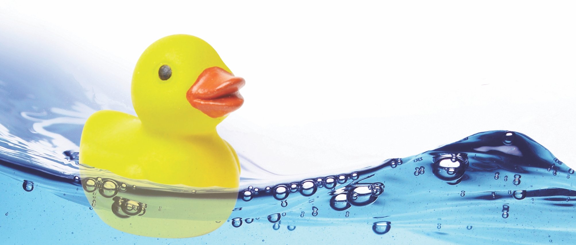 8 Rubber Duck Facts: What You Don’t Know About Everyone’s Favorite Bath Toy - Safari Ltd®