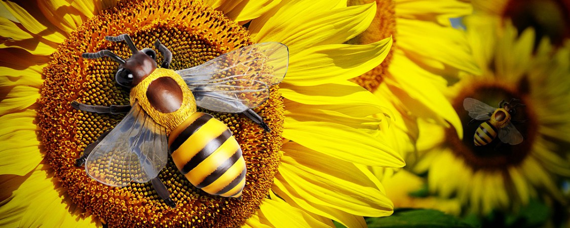 We're Buzzing About Honey Bee Awareness Day! - Safari Ltd®