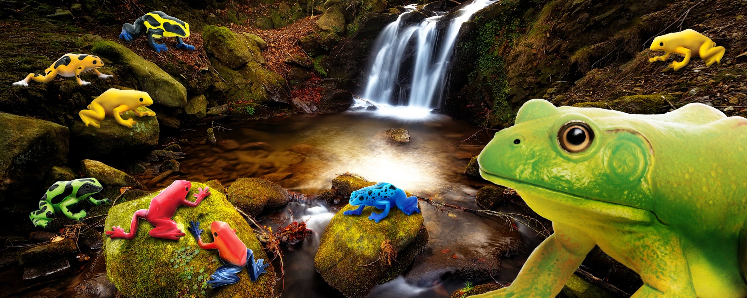 Hop on into World Frog Day! - Safari Ltd®