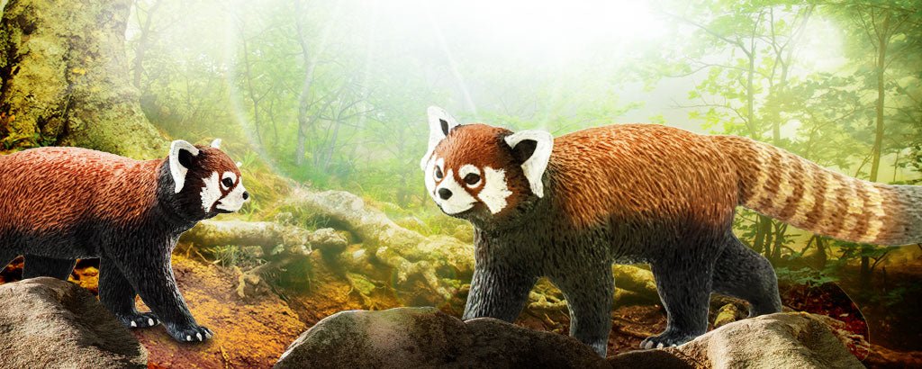 Is the Red Panda Really a Panda? - Safari Ltd®