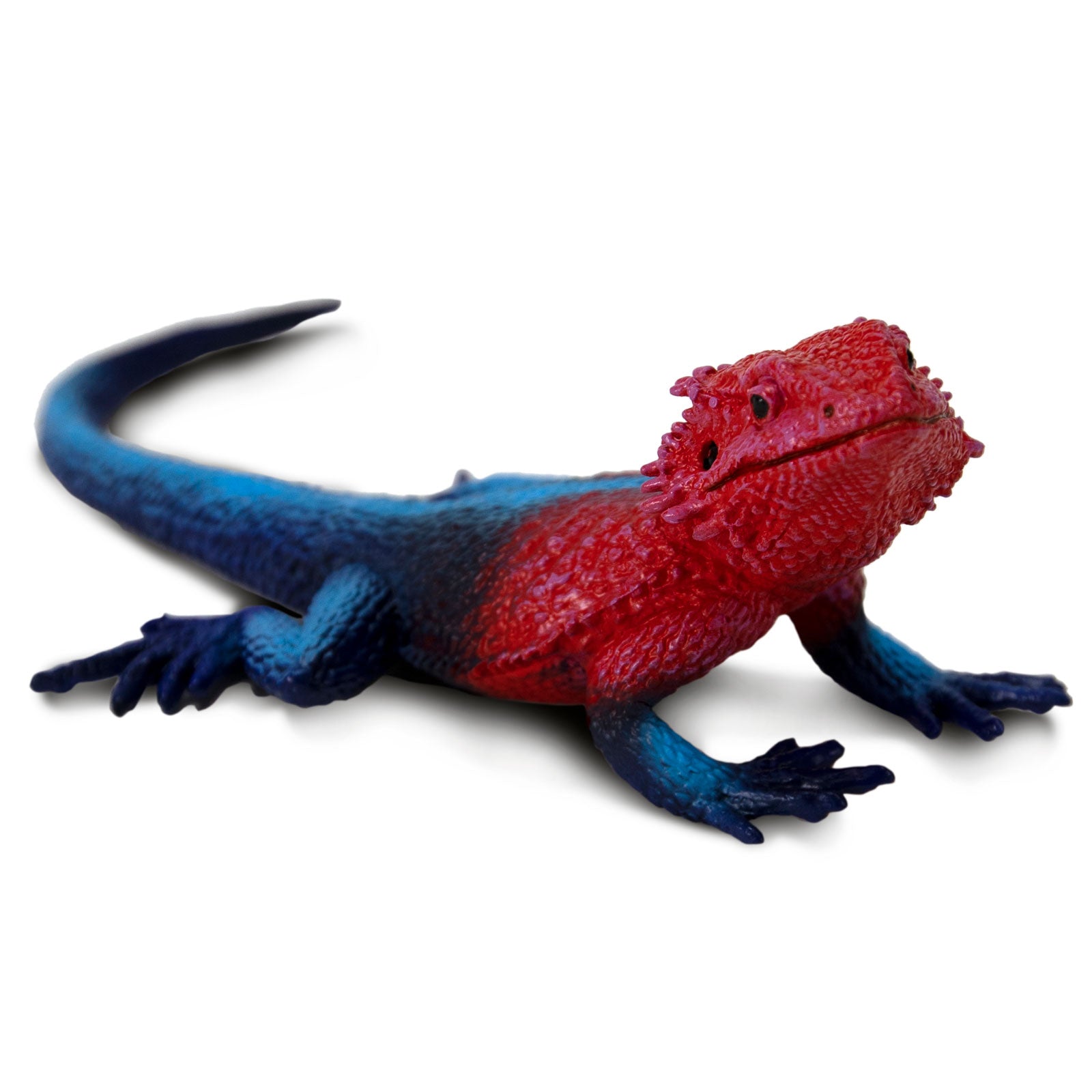 Mwanza Flat-Headed Rock Agama Toy Figure |  | Safari Ltd®