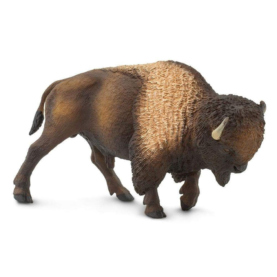 Bison - Safari Ltd®