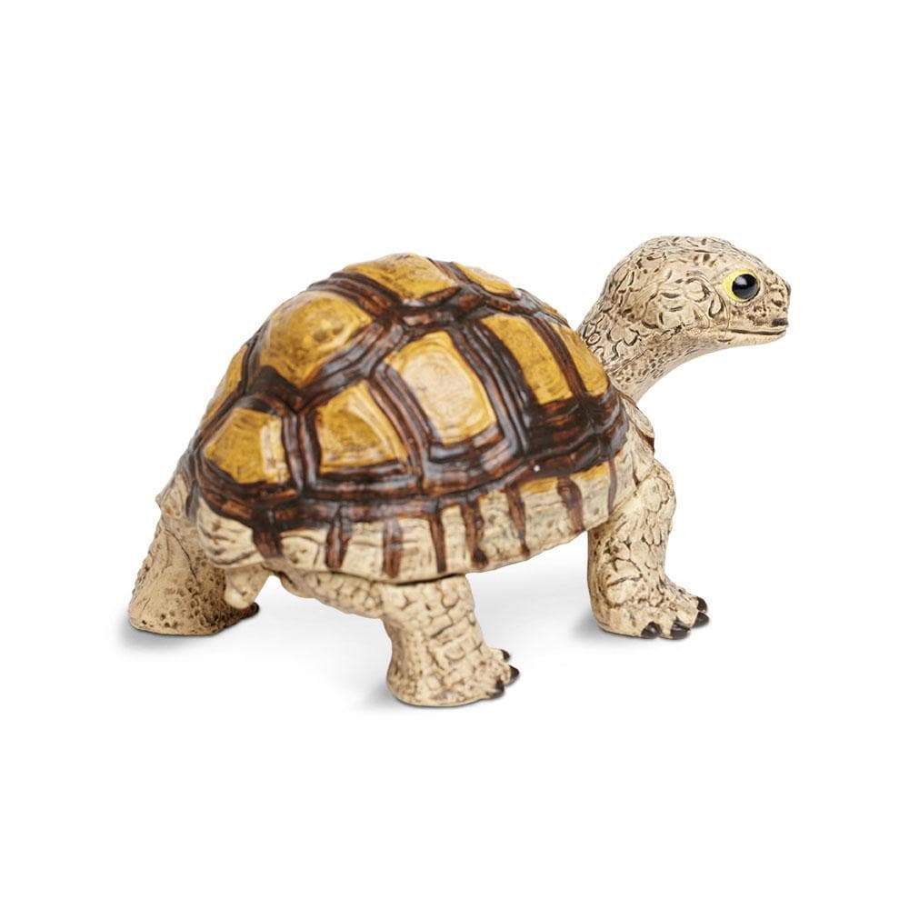 Tortoise Toy | Incredible Creatures | Safari Ltd®