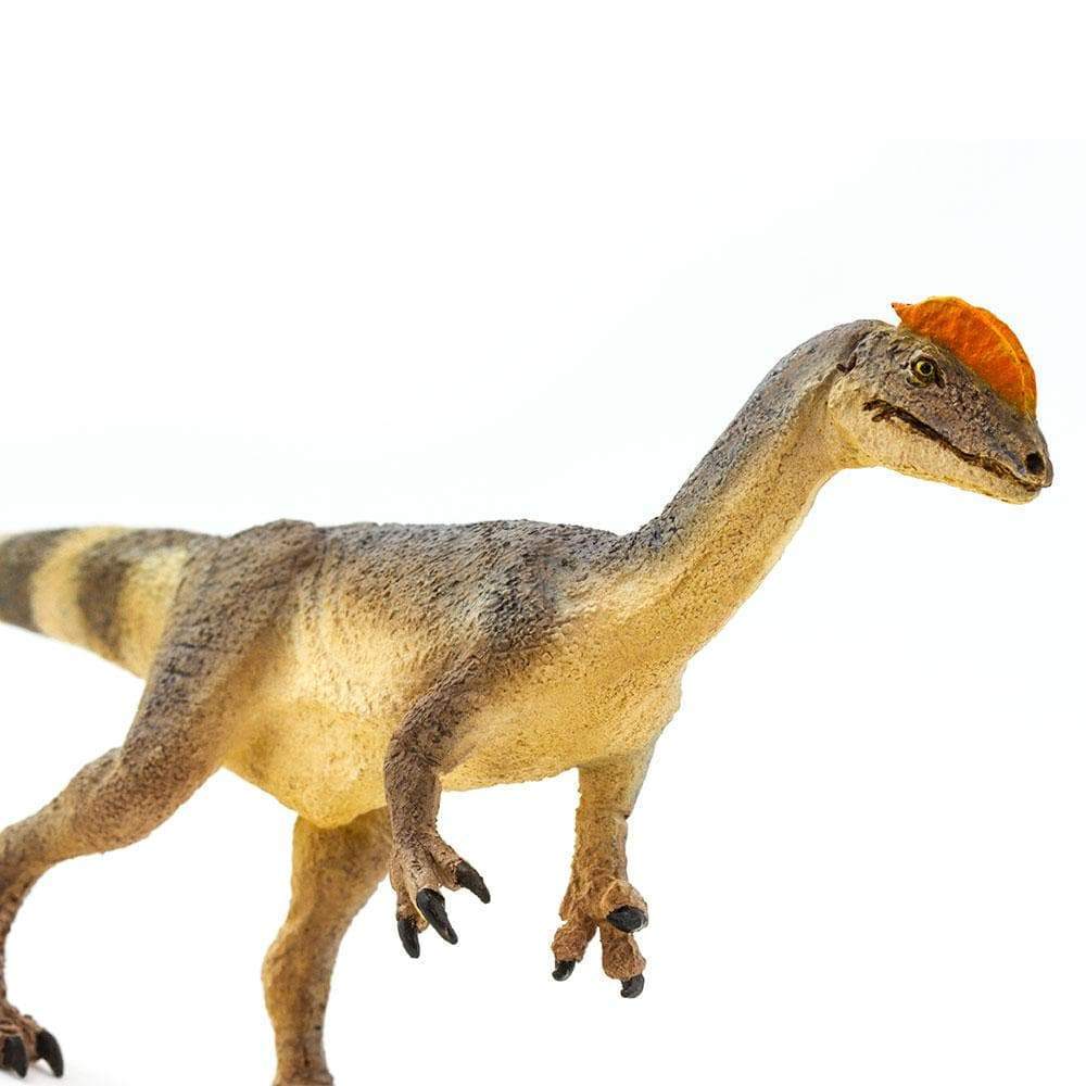 Dilophosaurus Toy | Dinosaur Toys | Safari Ltd®