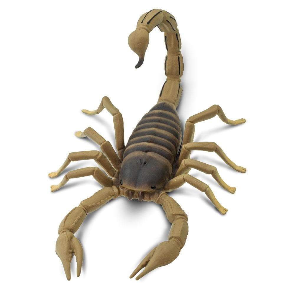 Scorpion Toy | Incredible Creatures | Safari Ltd®