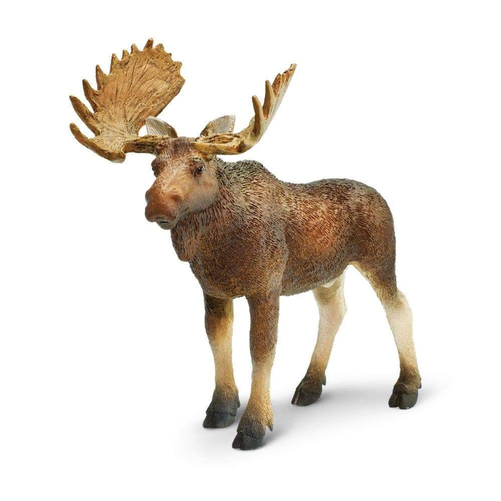 Bull Moose Toy