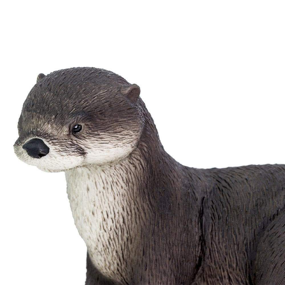 River Otter Toy | Incredible Creatures | Safari Ltd®