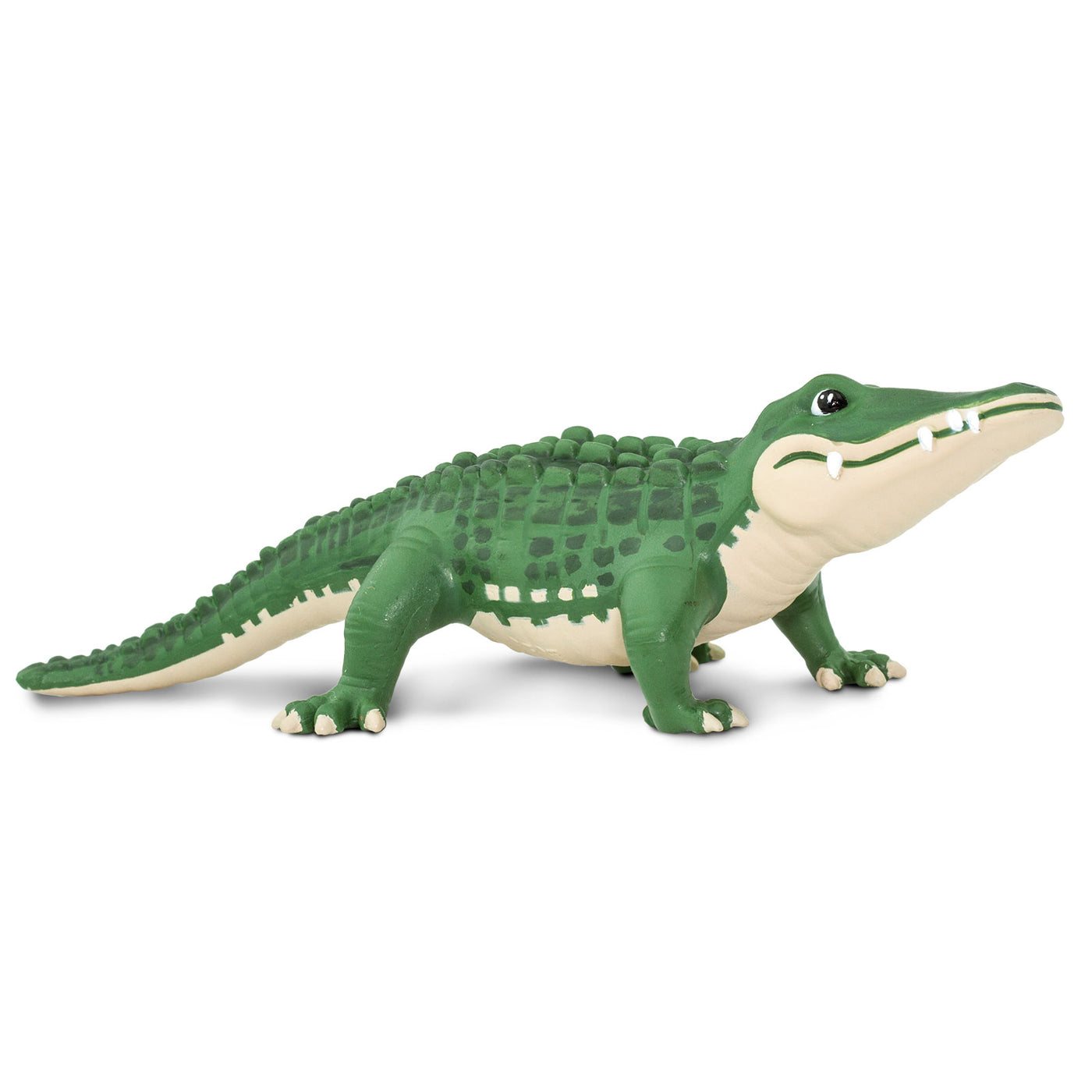 Bernie Toy | Wildlife Animal Toys | Safari Ltd®