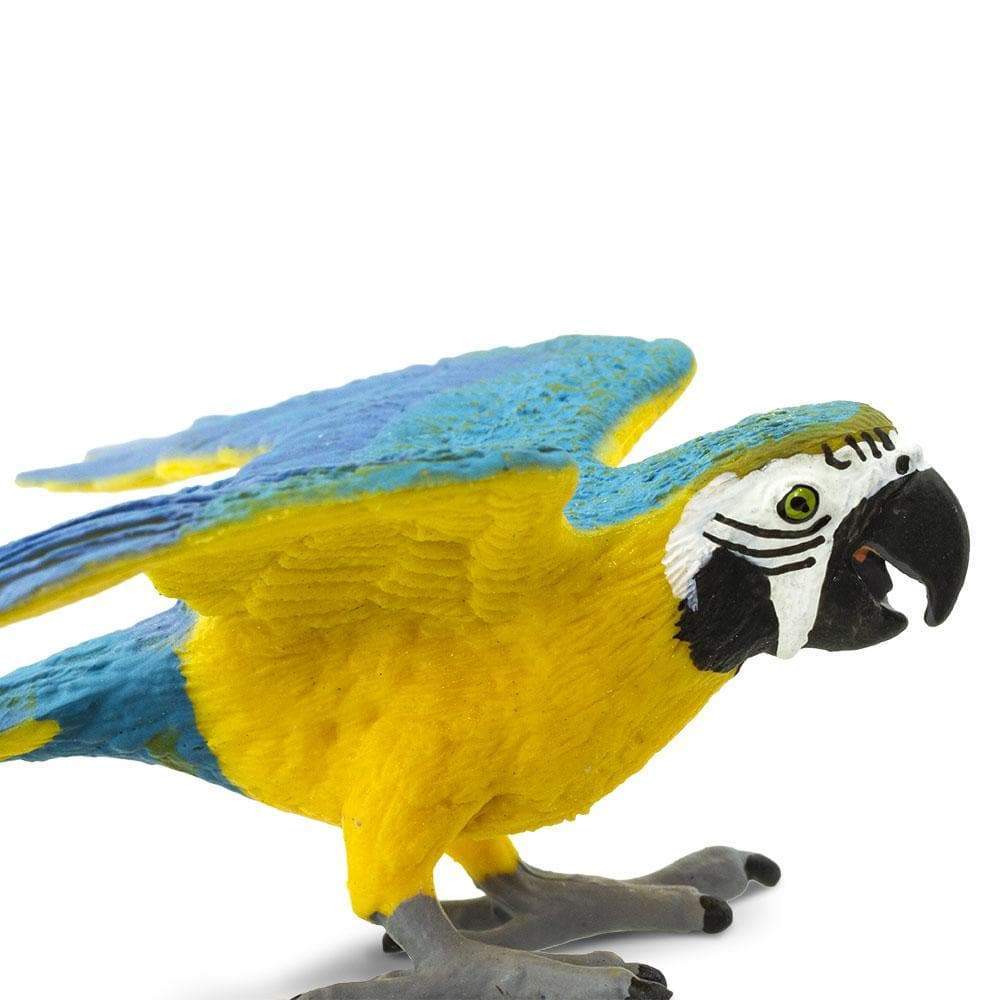 Blue & Gold Macaw Toy