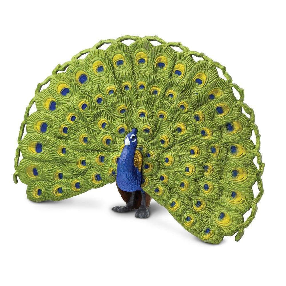 Peacock Toy | Wildlife Animal Toys | Safari Ltd.