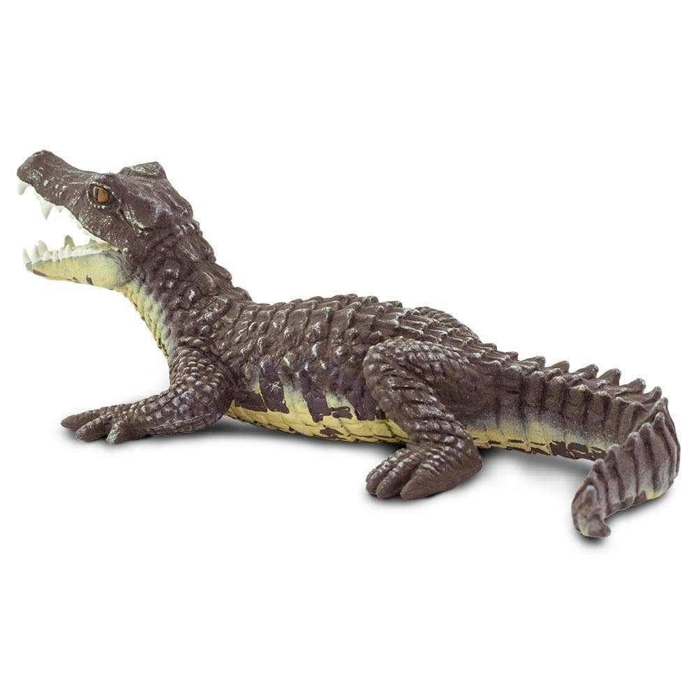 Caiman Toy