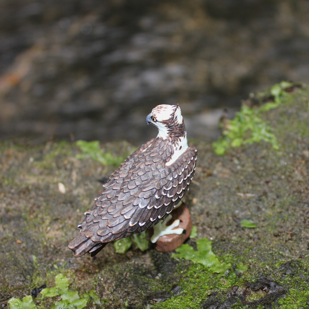 Osprey Toy Bird Figure