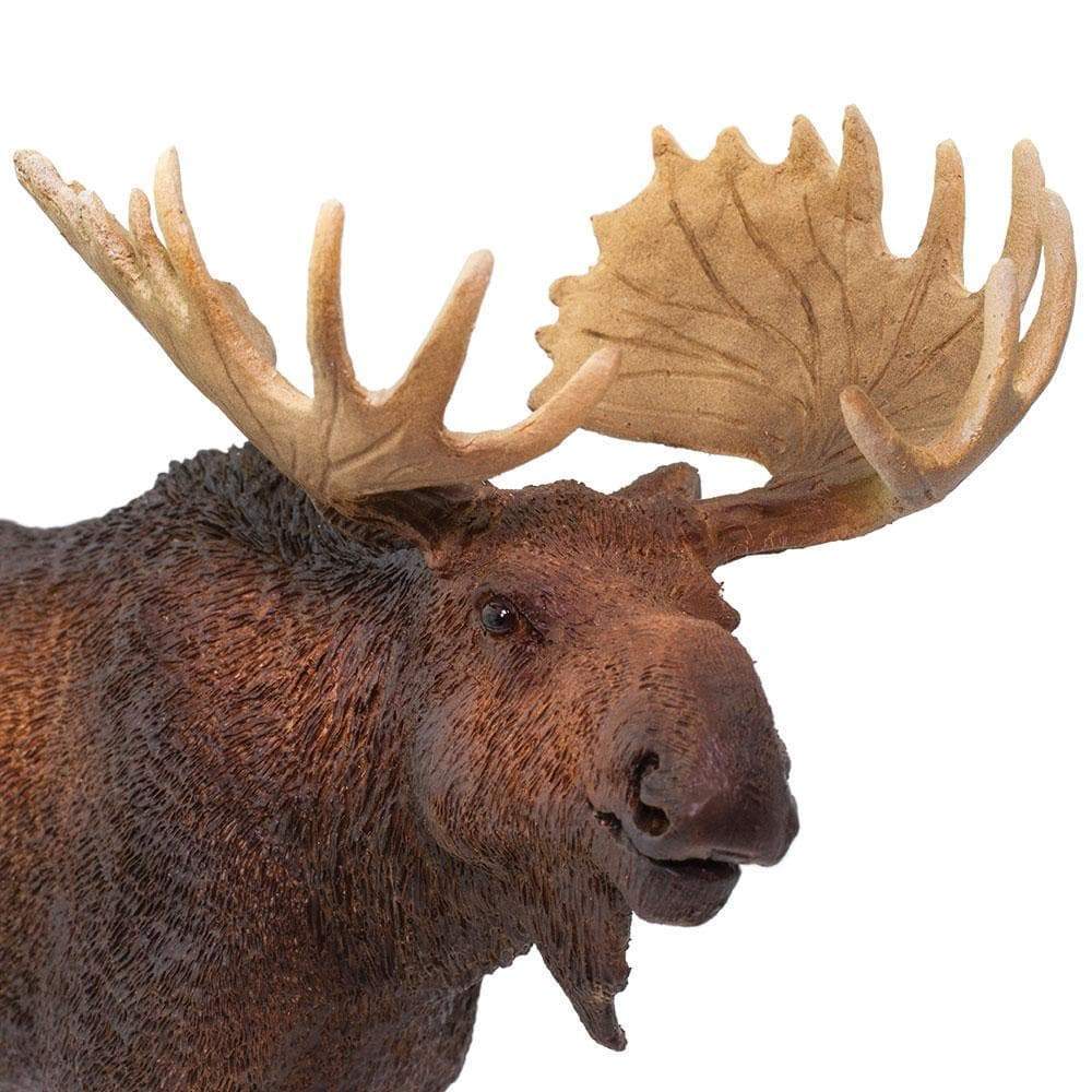 Moose Toy