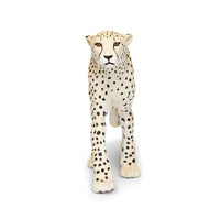 Cheetah Toy