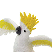 Cockatoo Toy