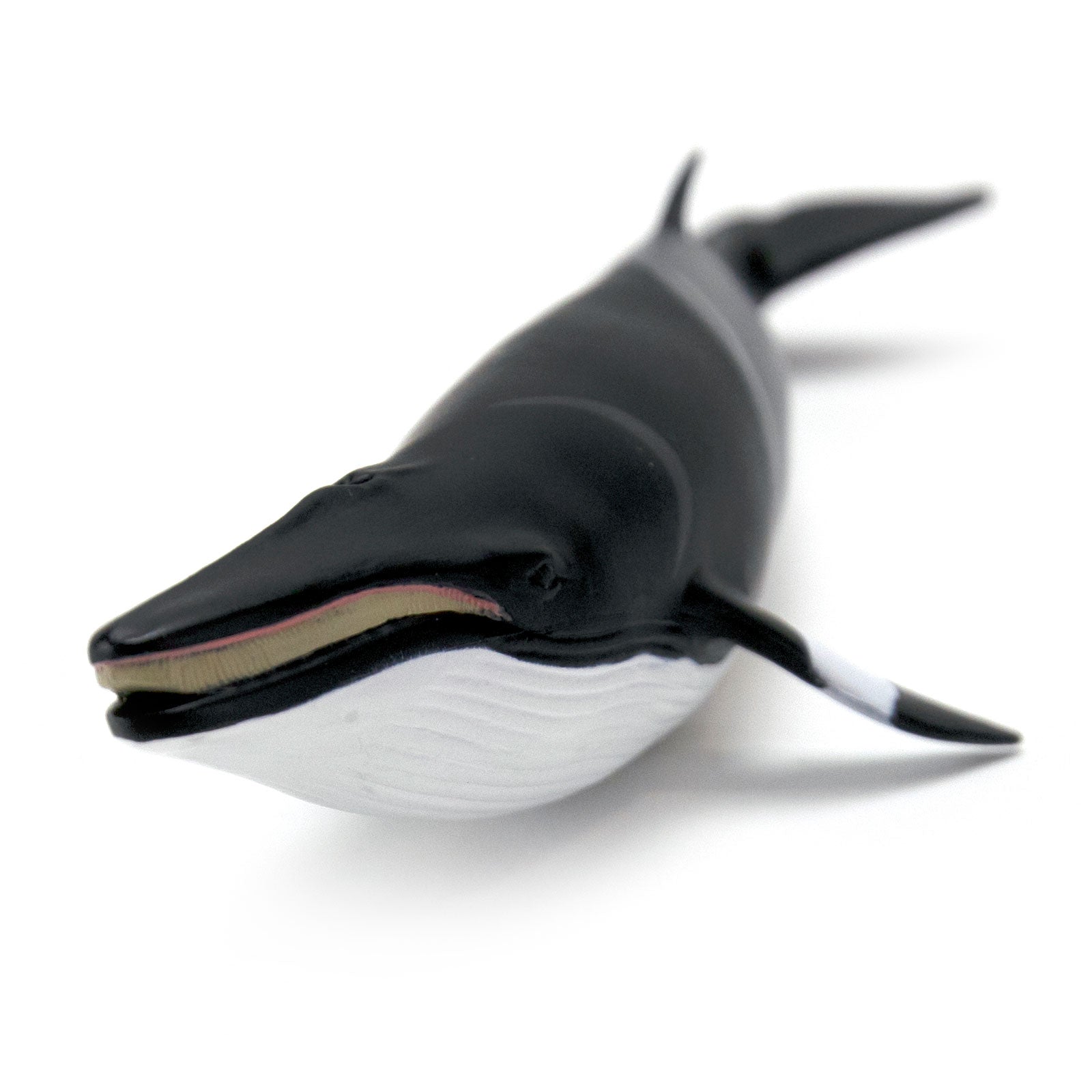 Minke Whale Sea Life Toy Figure