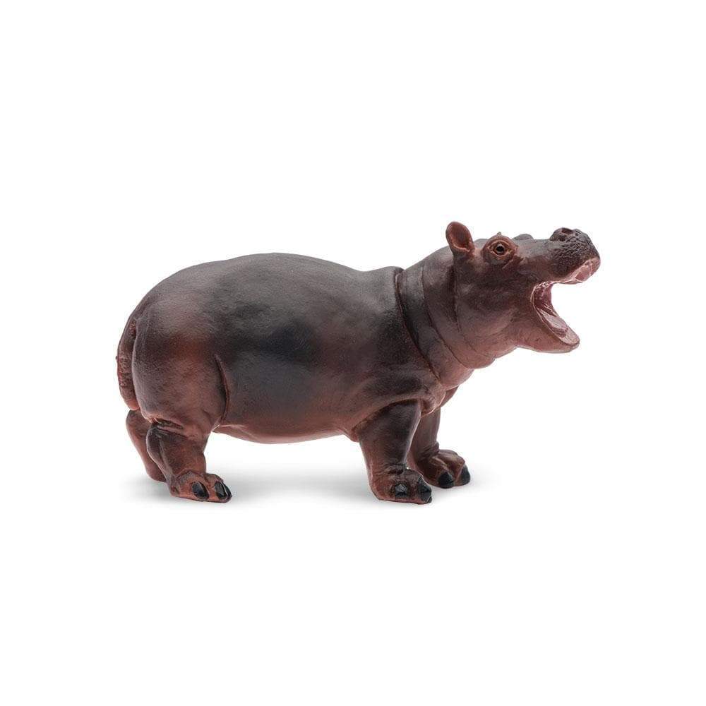 Hippopotamus Baby Toy | Wildlife Animal Toys | Safari Ltd.