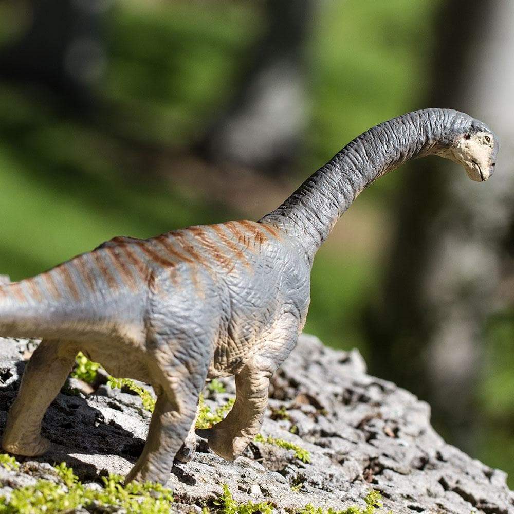 Camarasaurus Toy