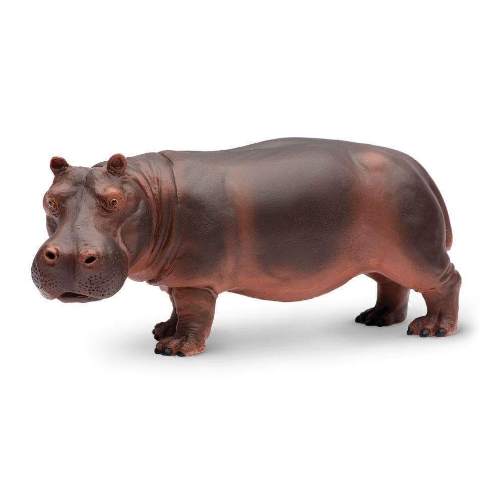 Hippopotamus Toy | Wildlife Animal Toys | Safari Ltd.