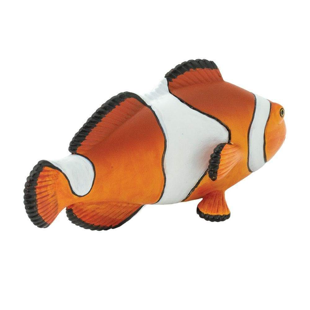 Clown Anemonefish Toy | Incredible Creatures | Safari Ltd®