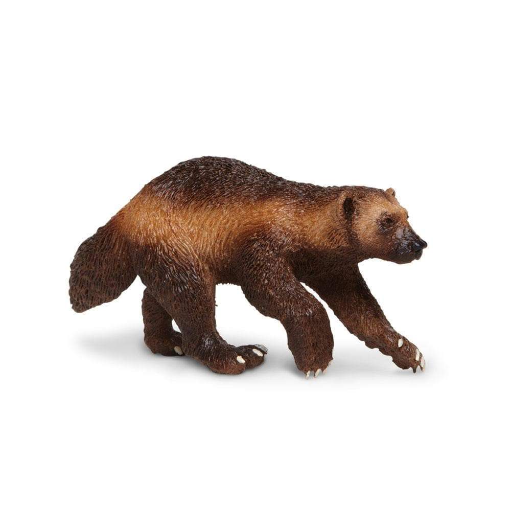 Wolverine Toy | Wildlife Animal Toys | Safari Ltd.