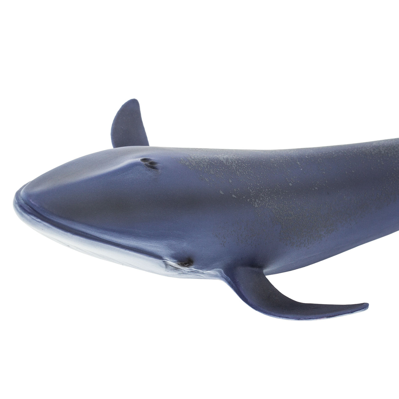 Blue Whale Toy