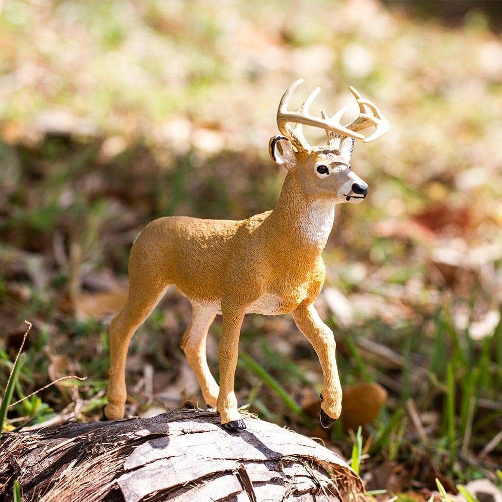 Whitetail Buck Toy