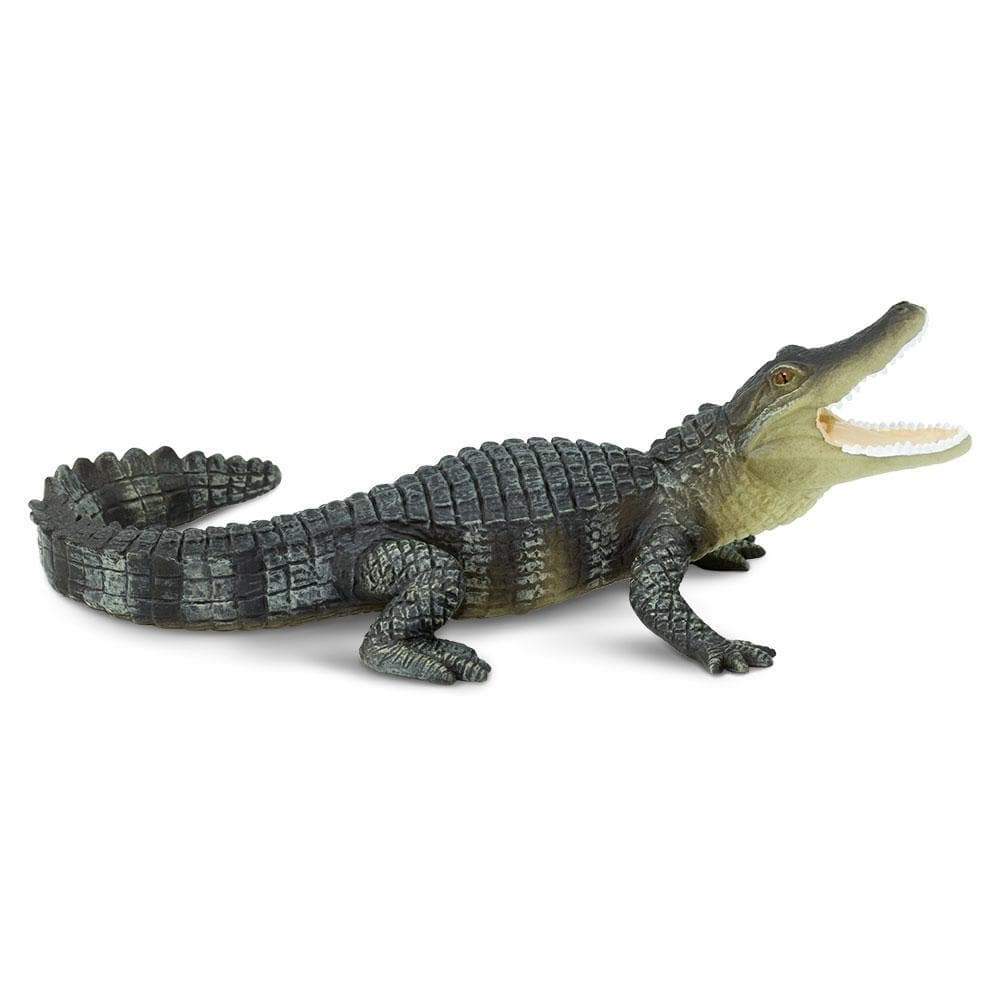 Alligator Toy