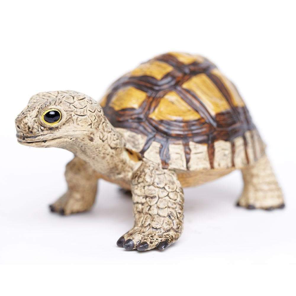 Tortoise Toy | Incredible Creatures | Safari Ltd®