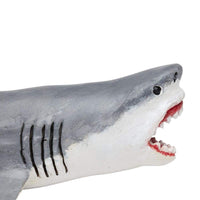 Megalodon Toy | Dinosaur Toys | Safari Ltd®