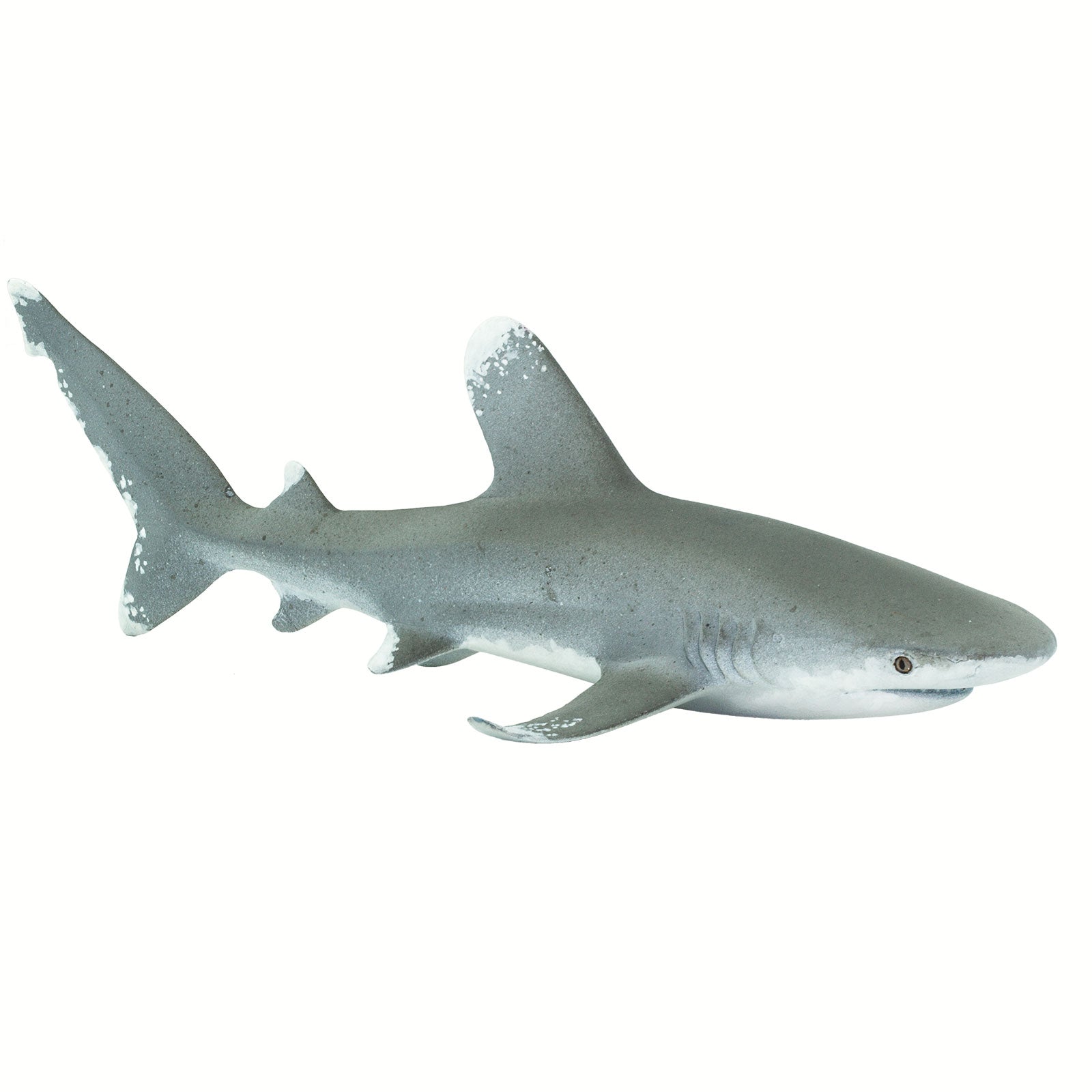 Oceanic Whitetip Shark Toy