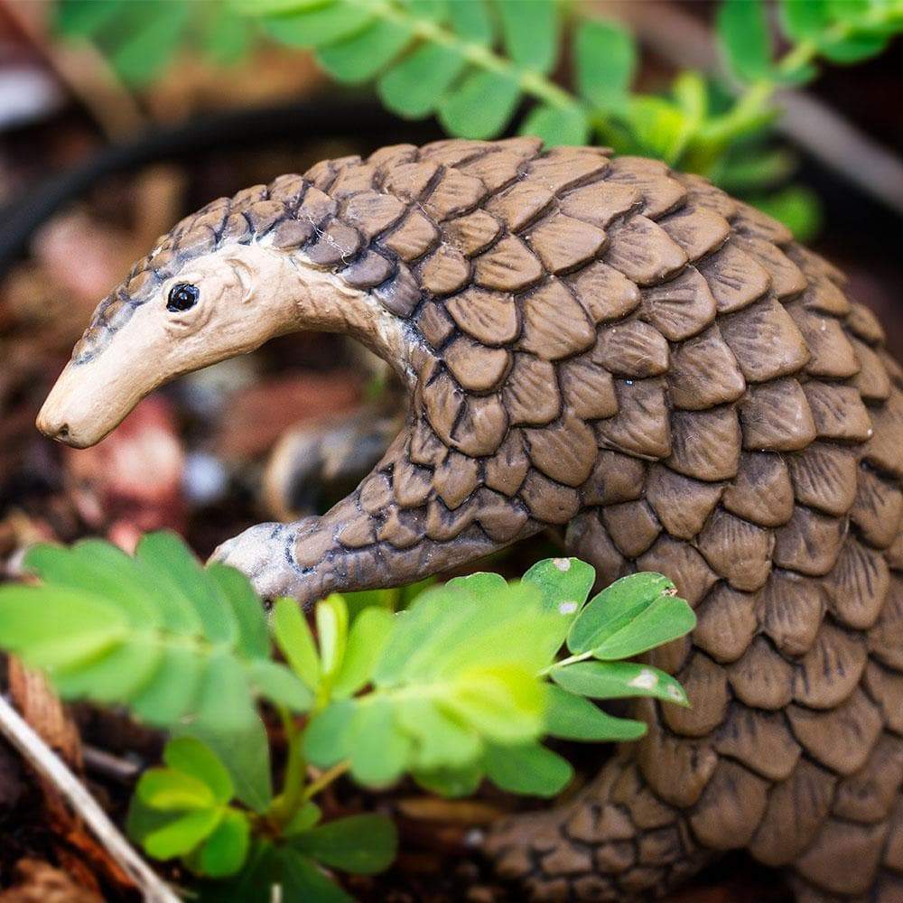 Pangolin Toy | Incredible Creatures | Safari Ltd®