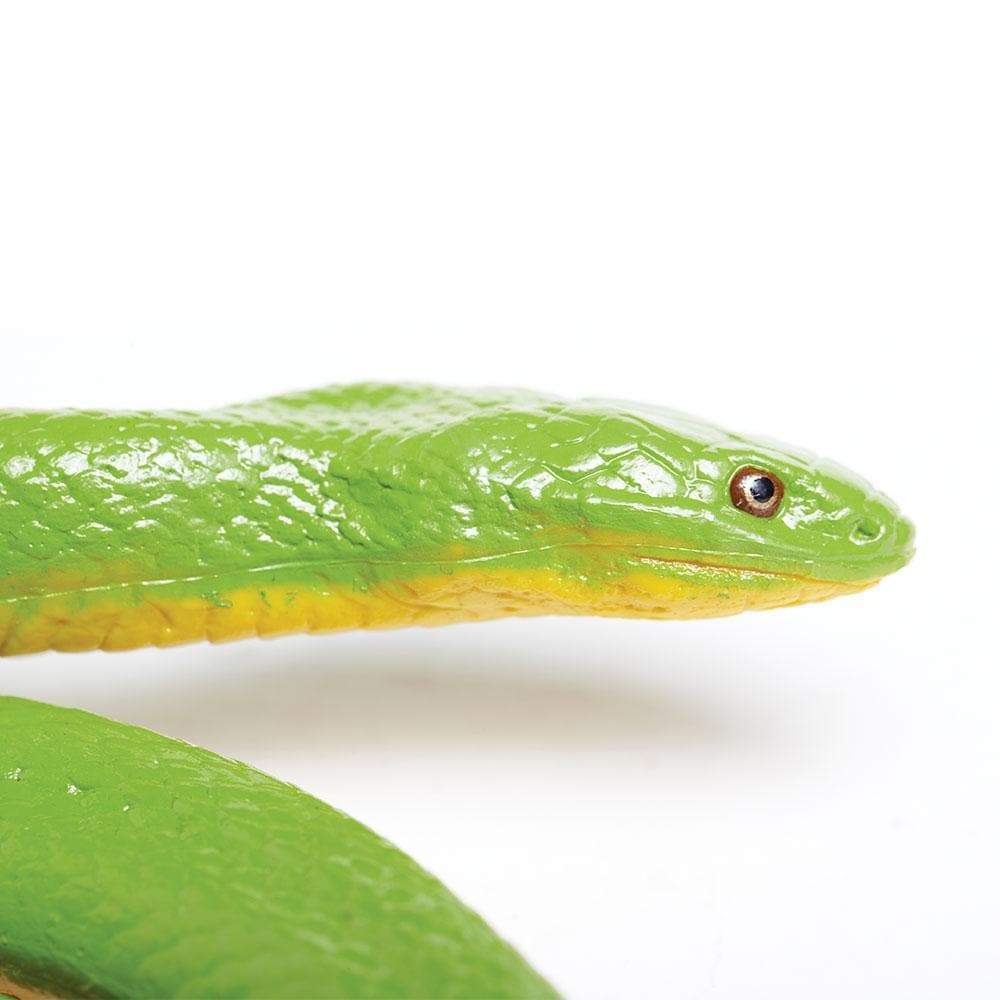 Rough Green Snake Toy | Incredible Creatures | Safari Ltd®