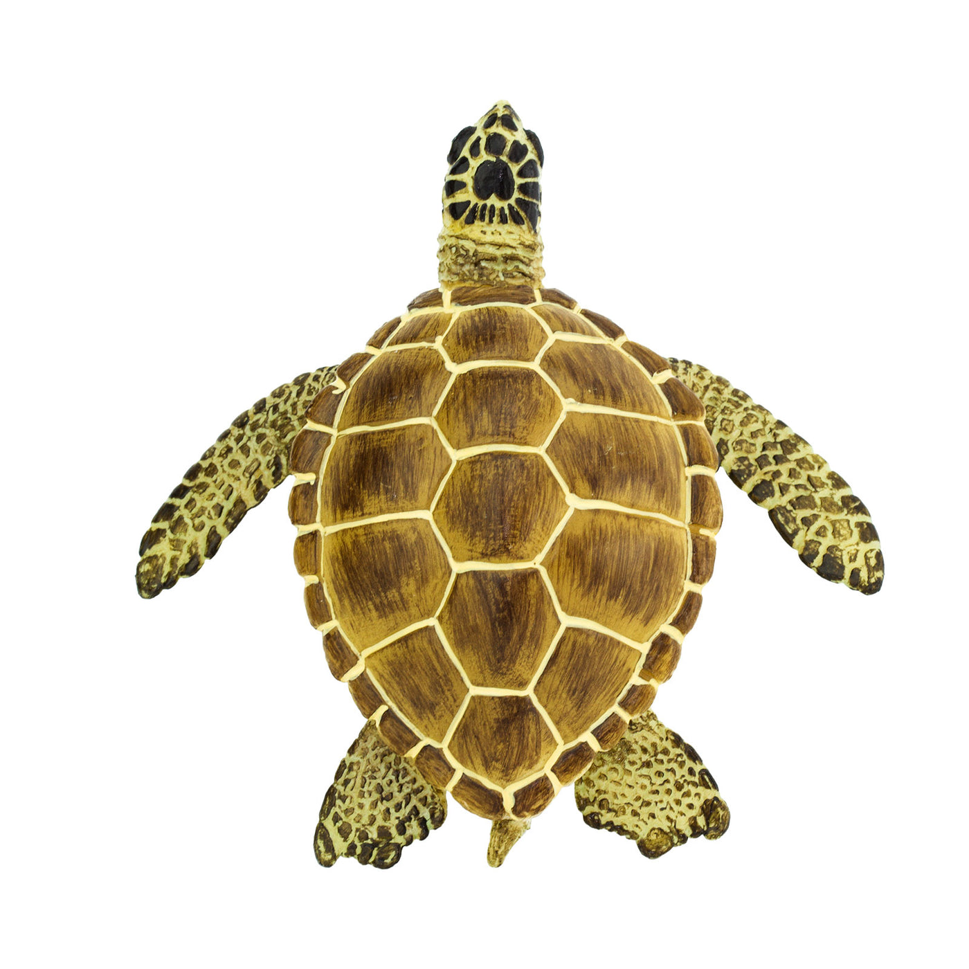 Loggerhead Turtle Toy