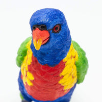 Lorikeet Toy