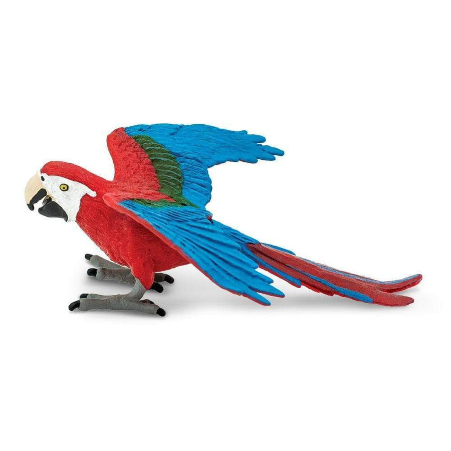 Green-winged Macaw Toy | Wildlife Animal Toys | Safari Ltd.