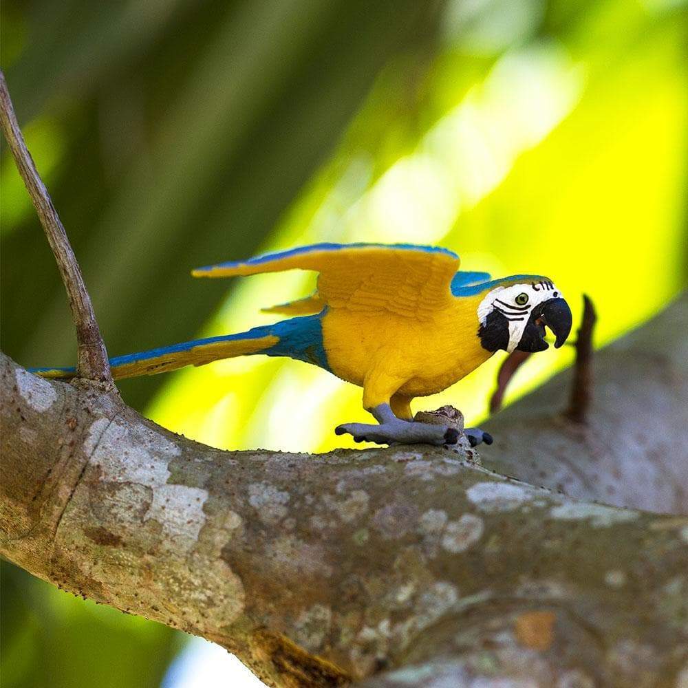 Blue & Gold Macaw Toy