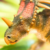 Styracosaurus Toy