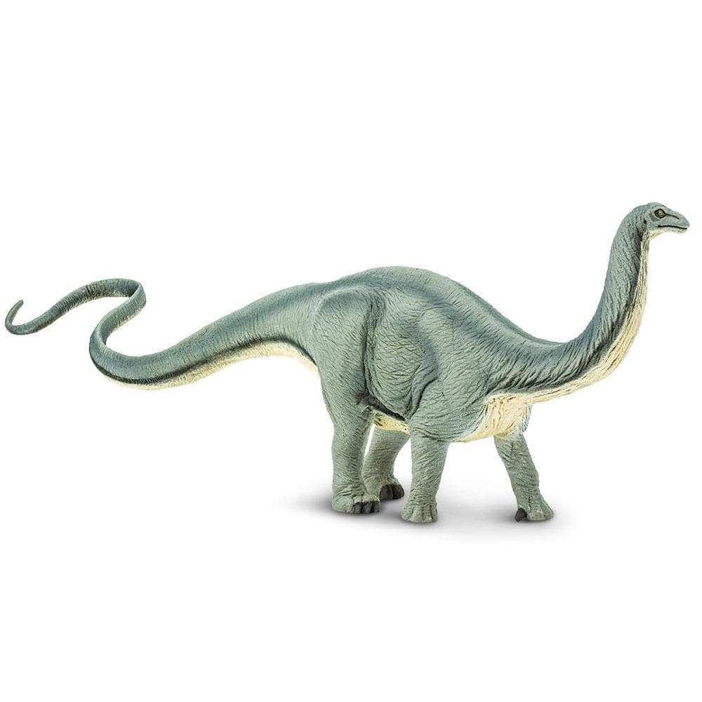 Apatosaurus Toy | Dinosaur Toys | Safari Ltd.