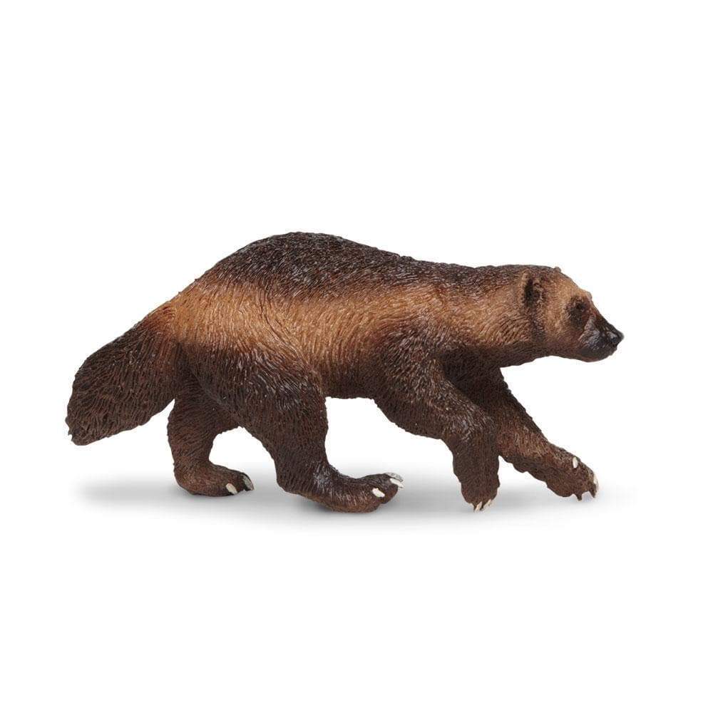 Wolverine Toy | Wildlife Animal Toys | Safari Ltd.