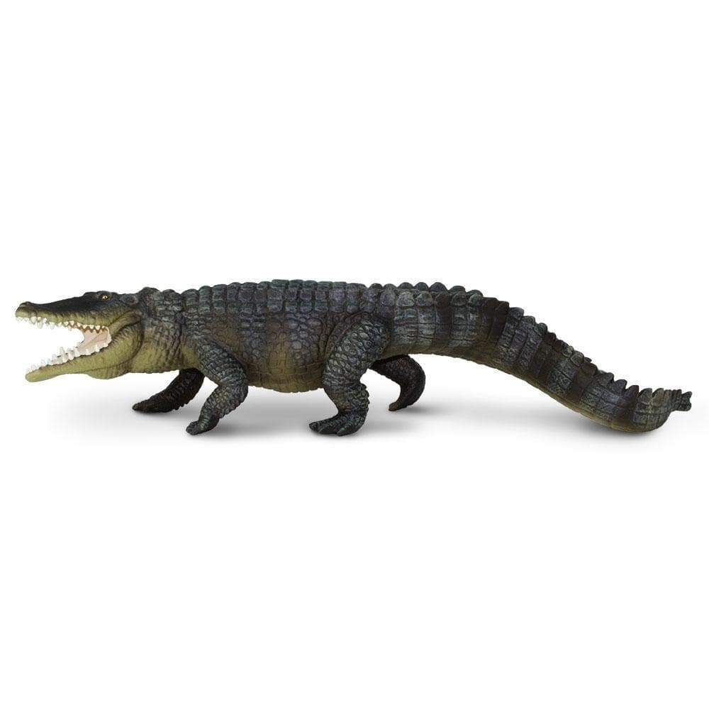 Saltwater Crocodile Toy | Incredible Creatures | Safari Ltd®