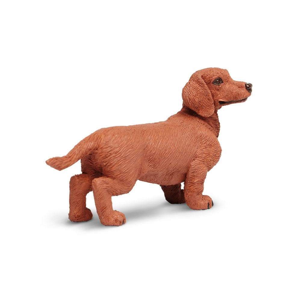 Dachshund Toy | Farm | Safari Ltd®