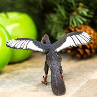 Archaeopteryx Toy | Dinosaur Toys | Safari Ltd®