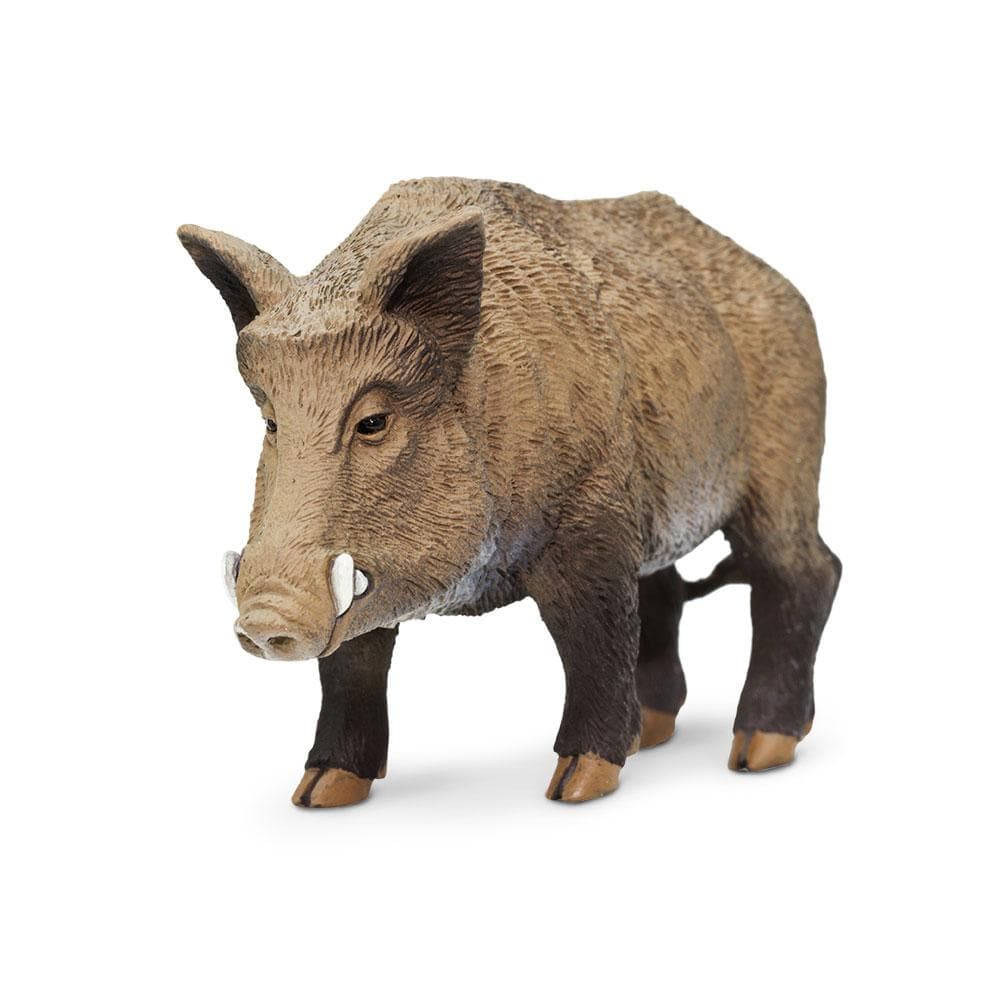 Boar Toy