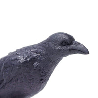 Raven Toy | Wildlife Animal Toys | Safari Ltd®