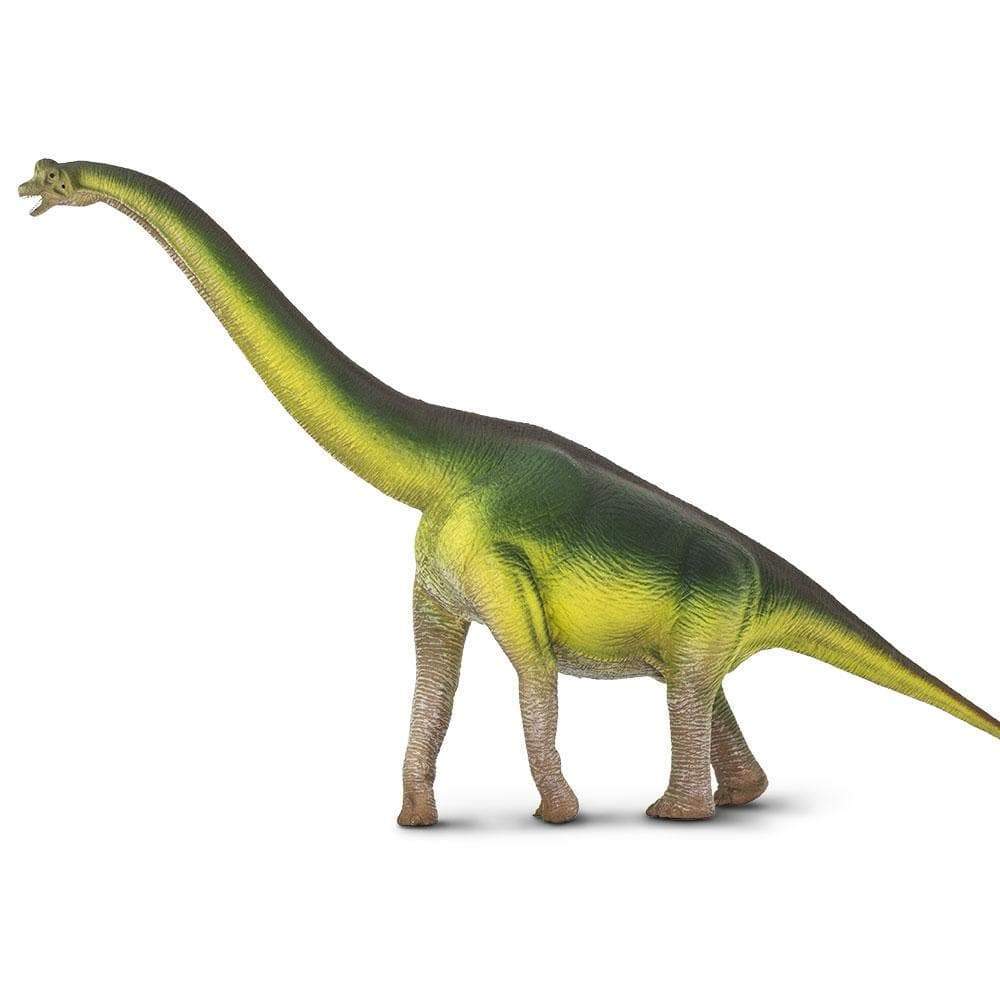 Brachiosaurus Toy