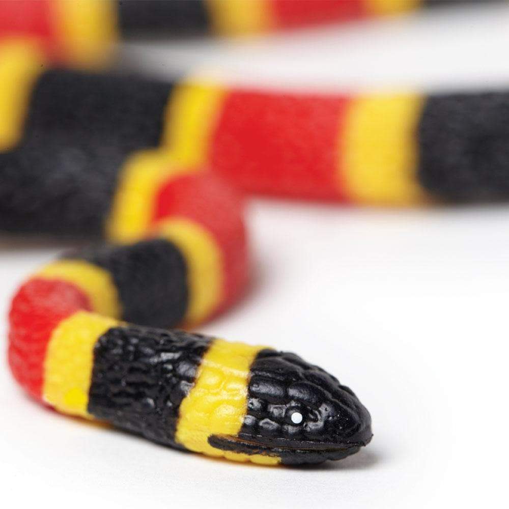 Coral Snake Baby Toy | Incredible Creatures | Safari Ltd®