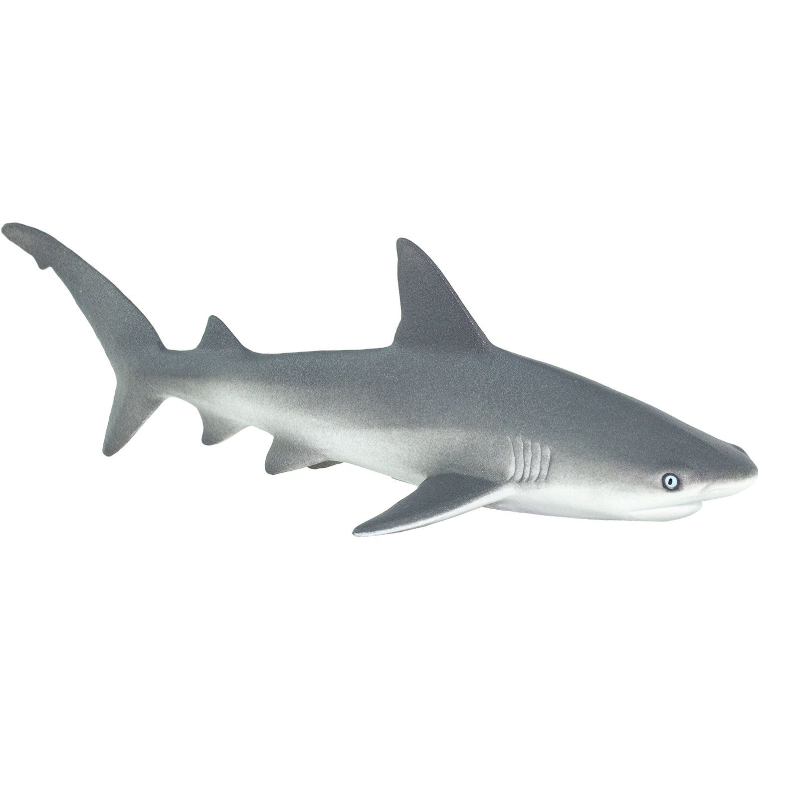 Gray Reef Shark Toy