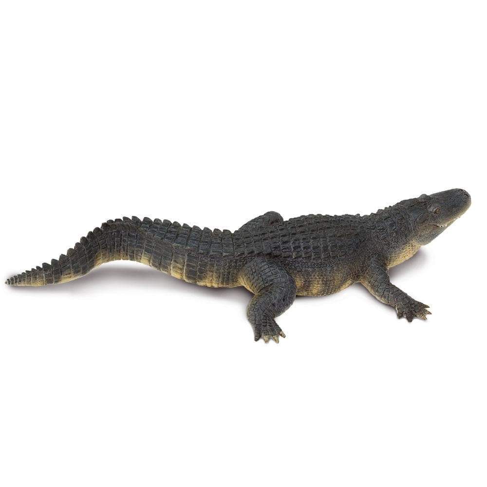 Alligator Toy