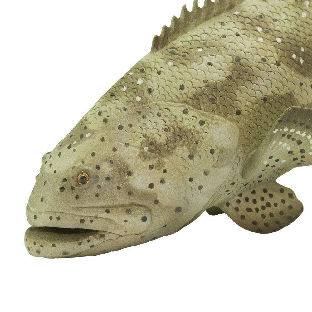 Goliath Grouper Toy | Incredible Creatures | Safari Ltd®